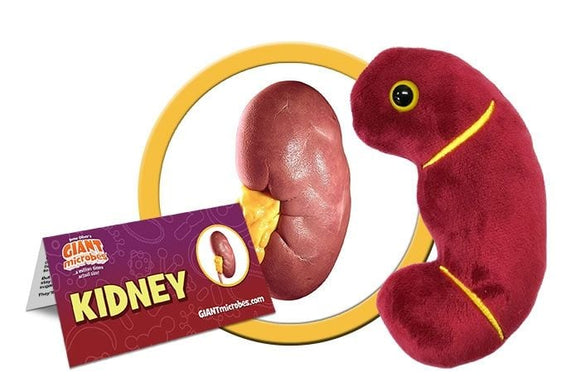 Giant Microbes Kidney