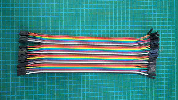 40 Jumper Wire 20cm/8in