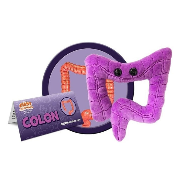 Giant Microbes The Colon