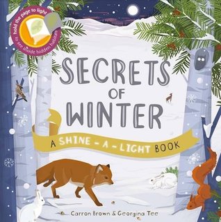 Shine-A-Light: Secrets of Winter
