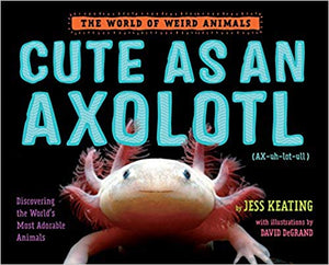Cute as an Axolotl