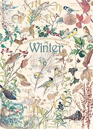 Country Diary: Winter Puzzle