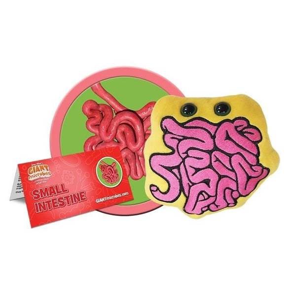 Giant Microbes Small Intestine