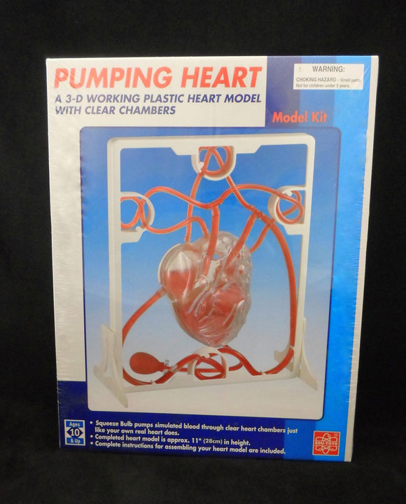 Pumping Heart Model